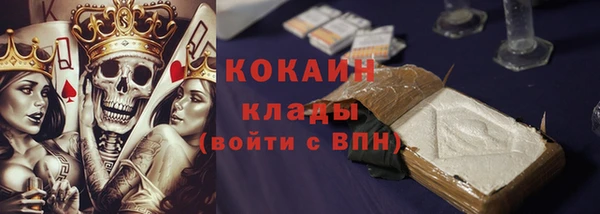 шишки Арсеньев