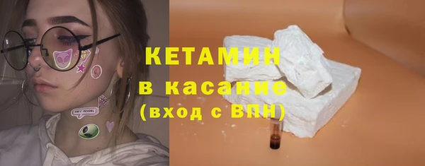 шишки Арсеньев