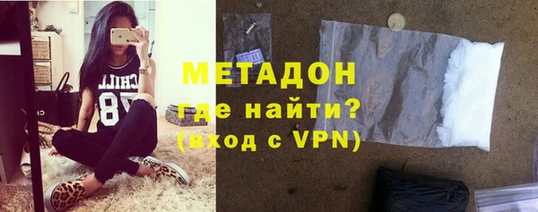 шишки Арсеньев