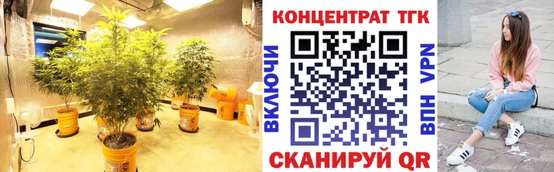 где можно купить   Бакал  Дистиллят ТГК концентрат 
