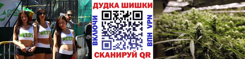 наркошоп  Бакал  Шишки марихуана сатива 